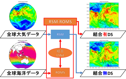 rsm-roms.png(122885 byte)