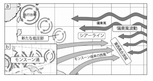 台風パターン